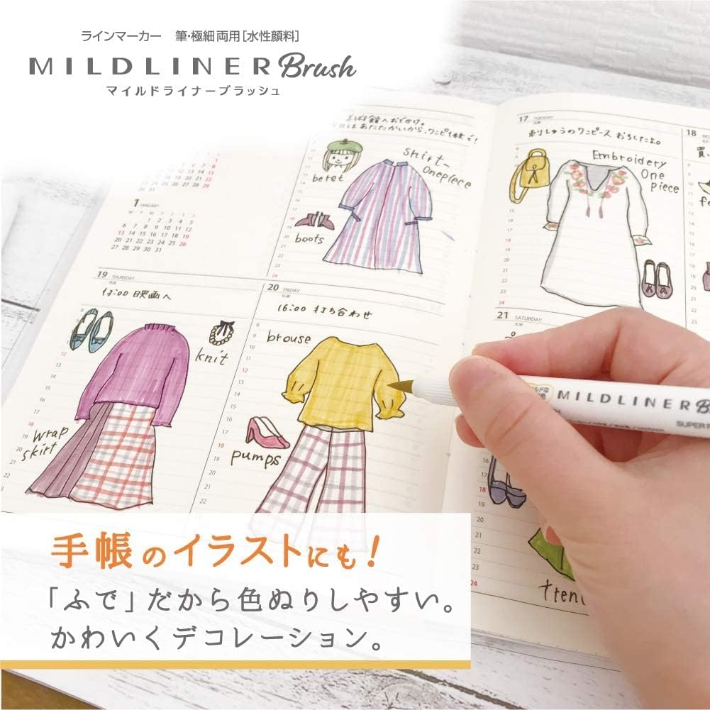 Brush pens Zebra Mildliner-5 piezas