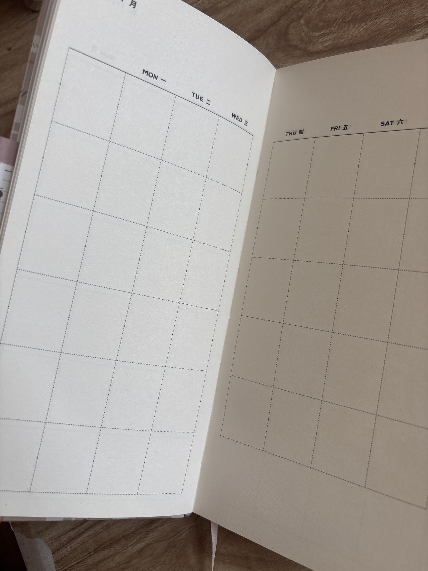 Planner 12 meses sin fechas