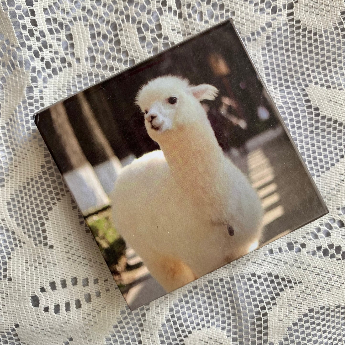 Mini libreta cuadrada animales-180 hojas