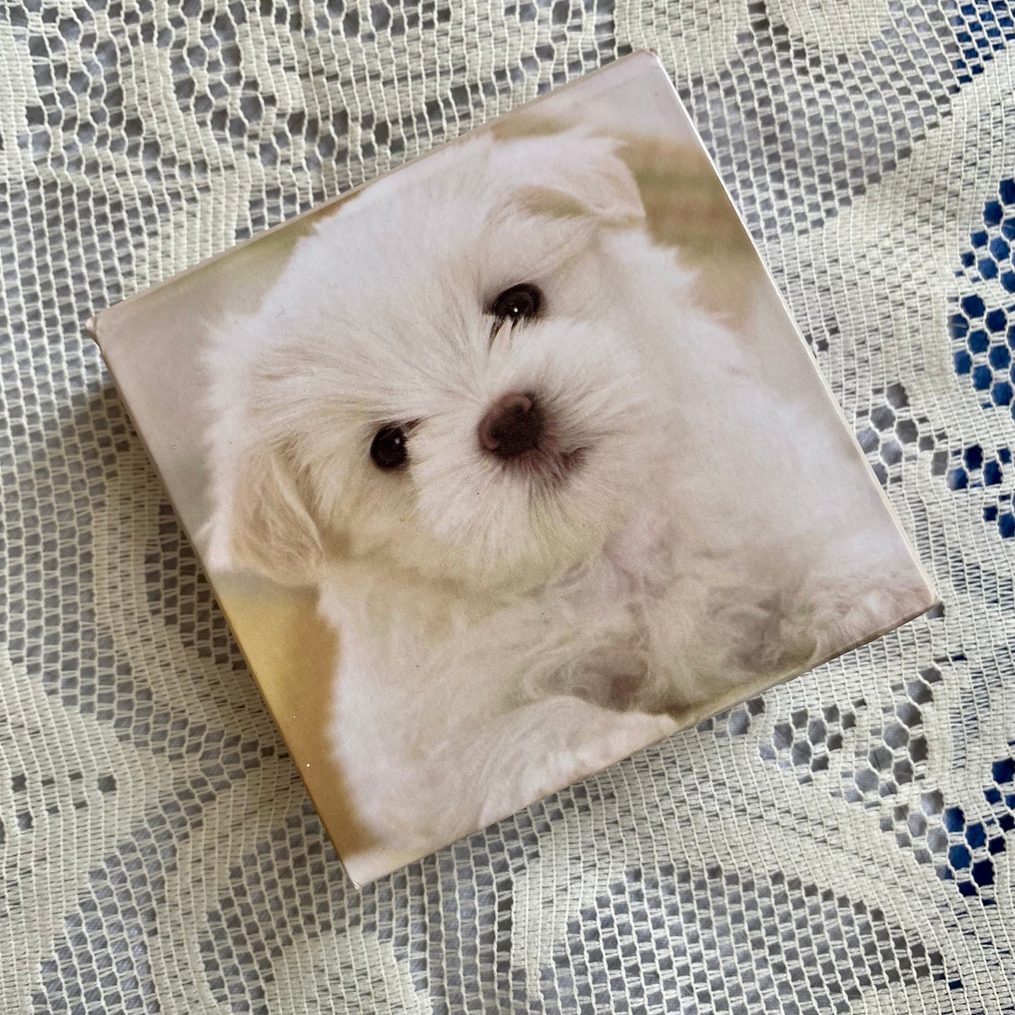 Mini libreta cuadrada animales-180 hojas