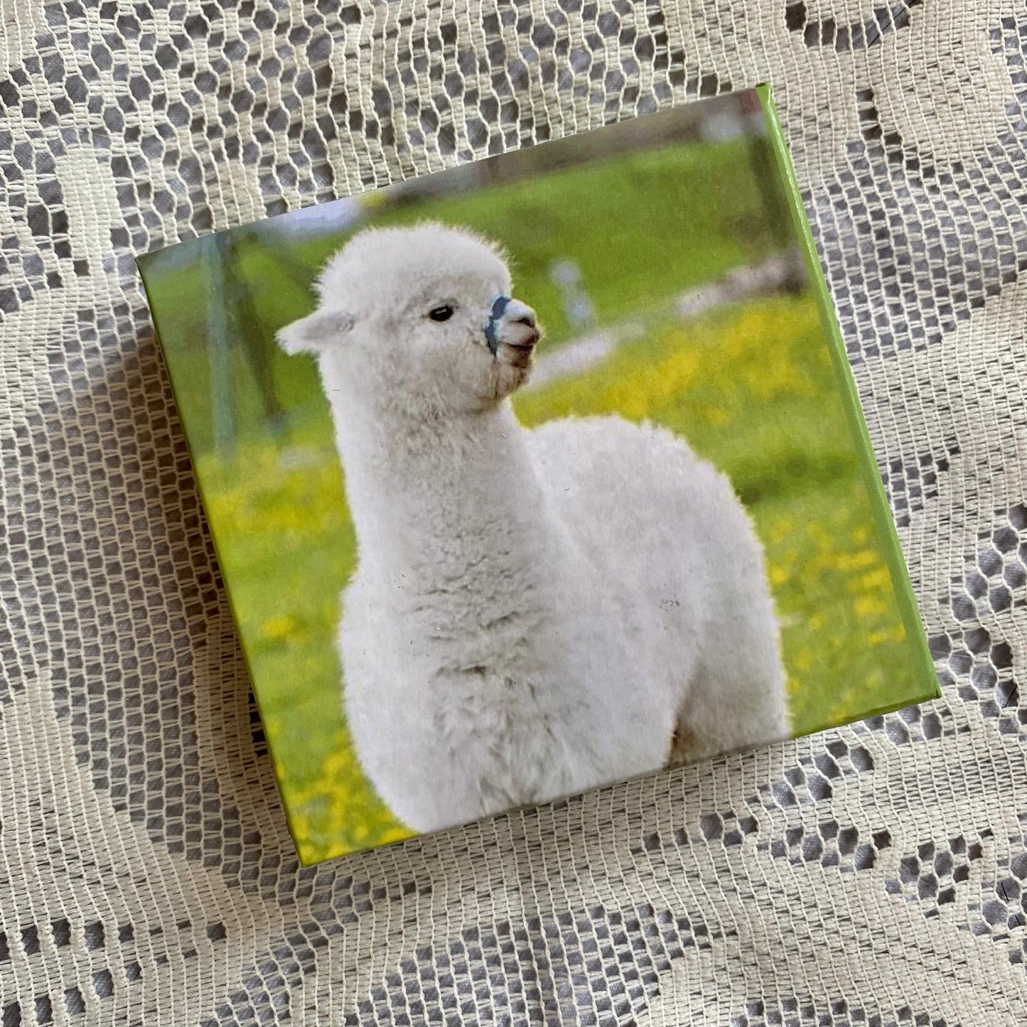 Mini libreta cuadrada animales-180 hojas