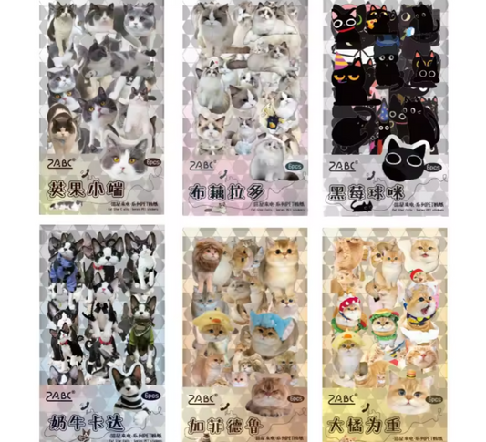 Stickers gatitos-6 pzas