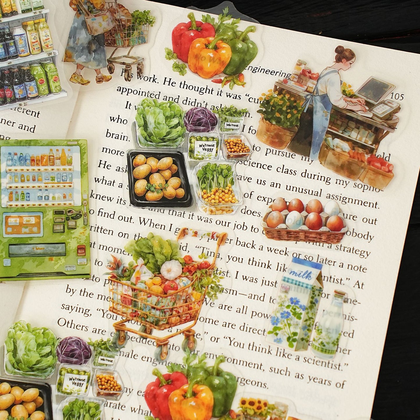 Stickers life diary-15 pzas