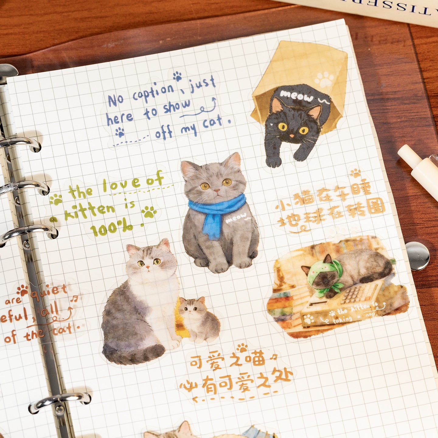 Stickers cat diary-30 pzas