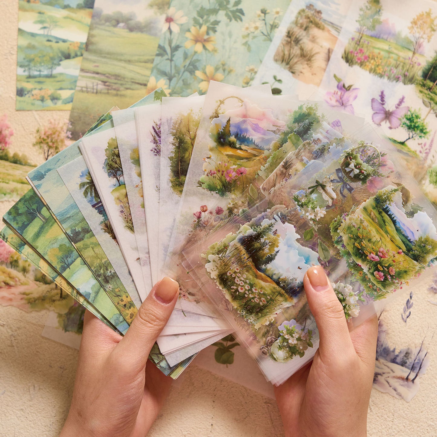 Set sticker pet + sticker washi + papel -54 pzas