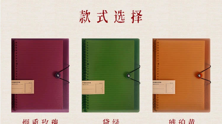 Cuaderno infinito A4 30 anillas (no incluye hojas)-1 pza
