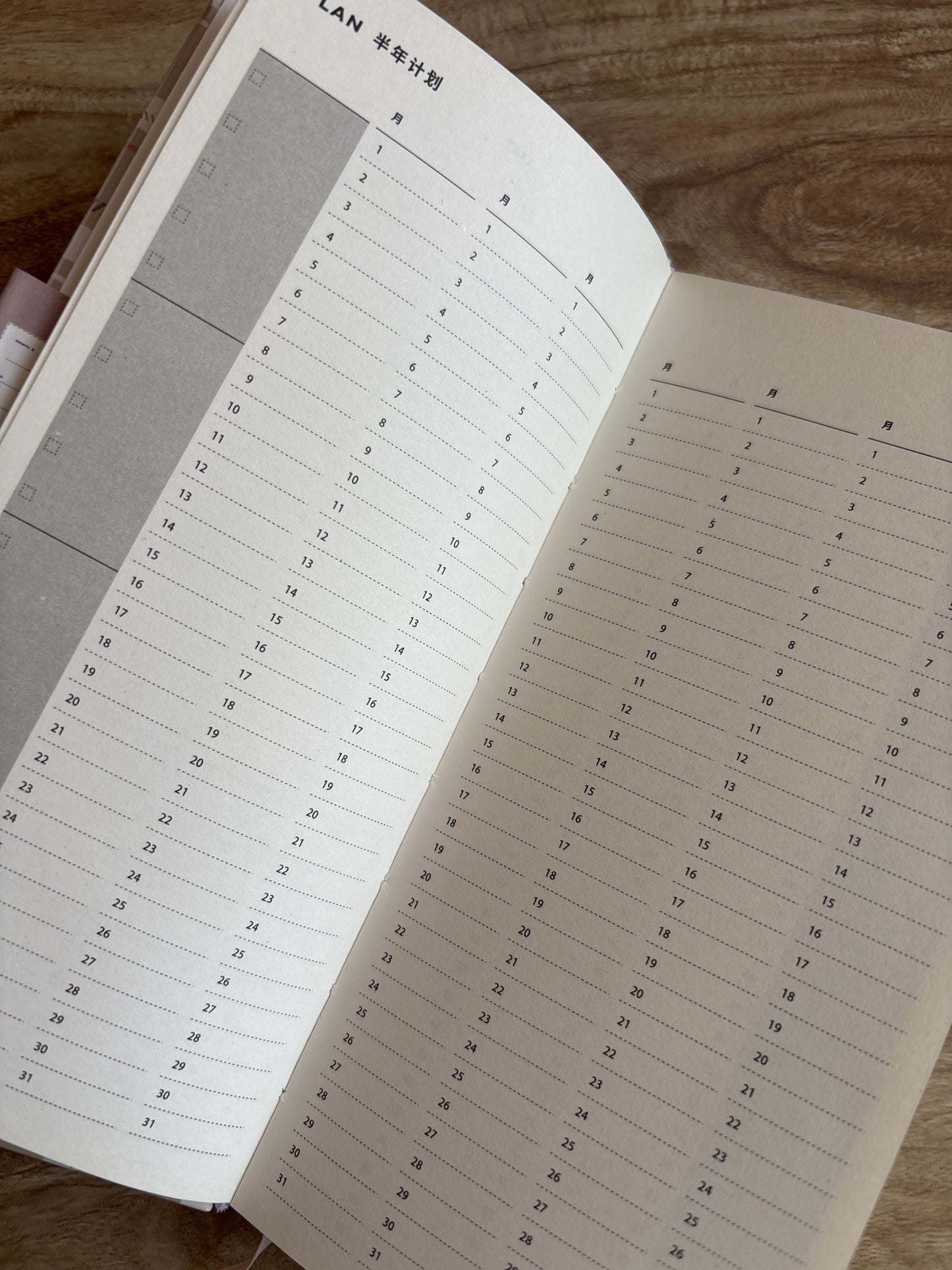 Planner 12 meses sin fechas