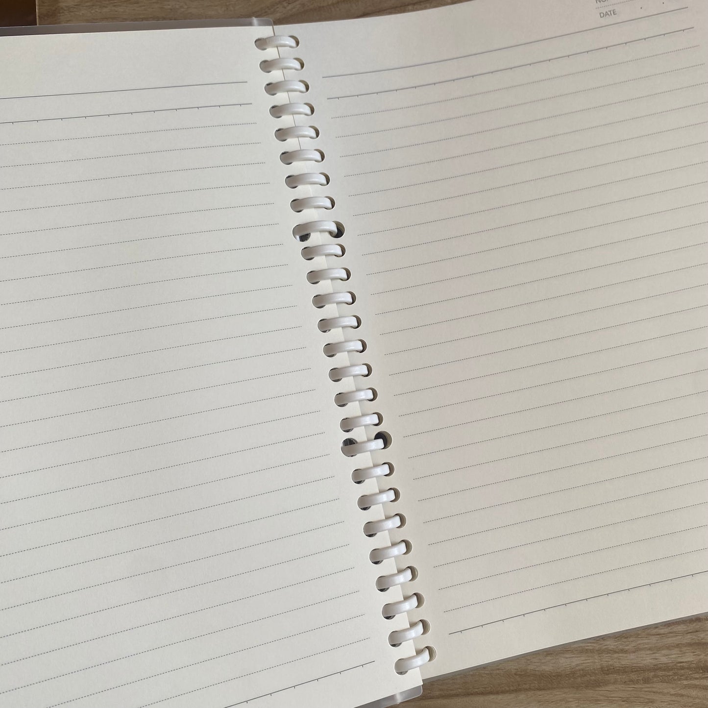 Cuaderno infinito "gatitos" B5 -50 hojas rayadas