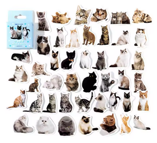 Cajita de stickers gatos-45 pzas