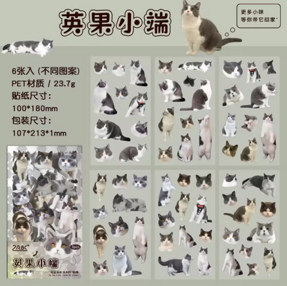 Stickers gatitos-6 pzas