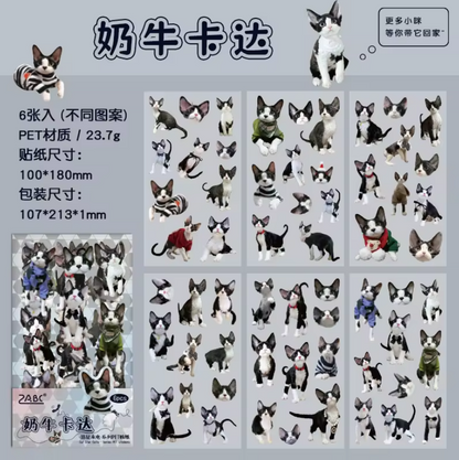 Stickers gatitos-6 pzas