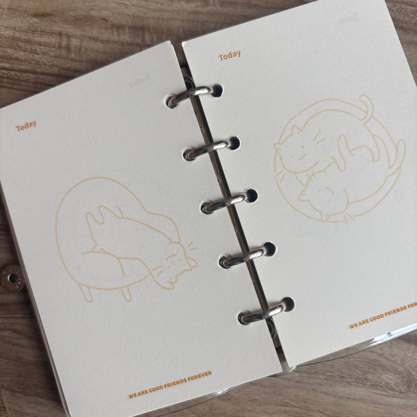 Mini binder A7 gatitos-80 hojas