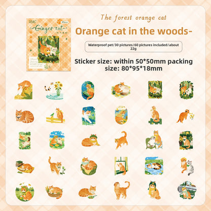 Caja de stickers kitty XL-60 pzas