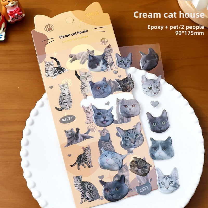 Stickers gatos 3D-2 planchas