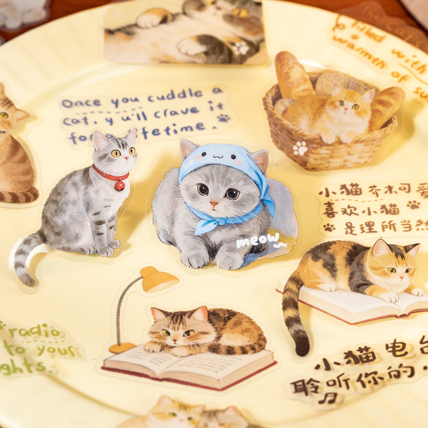 Stickers cat diary-30 pzas