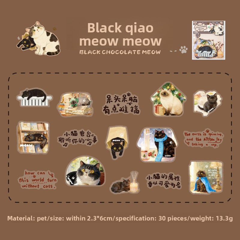 Stickers cat diary-30 pzas