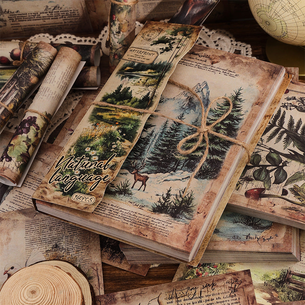 Set de papeles A5 bosque vintage-160 pzas