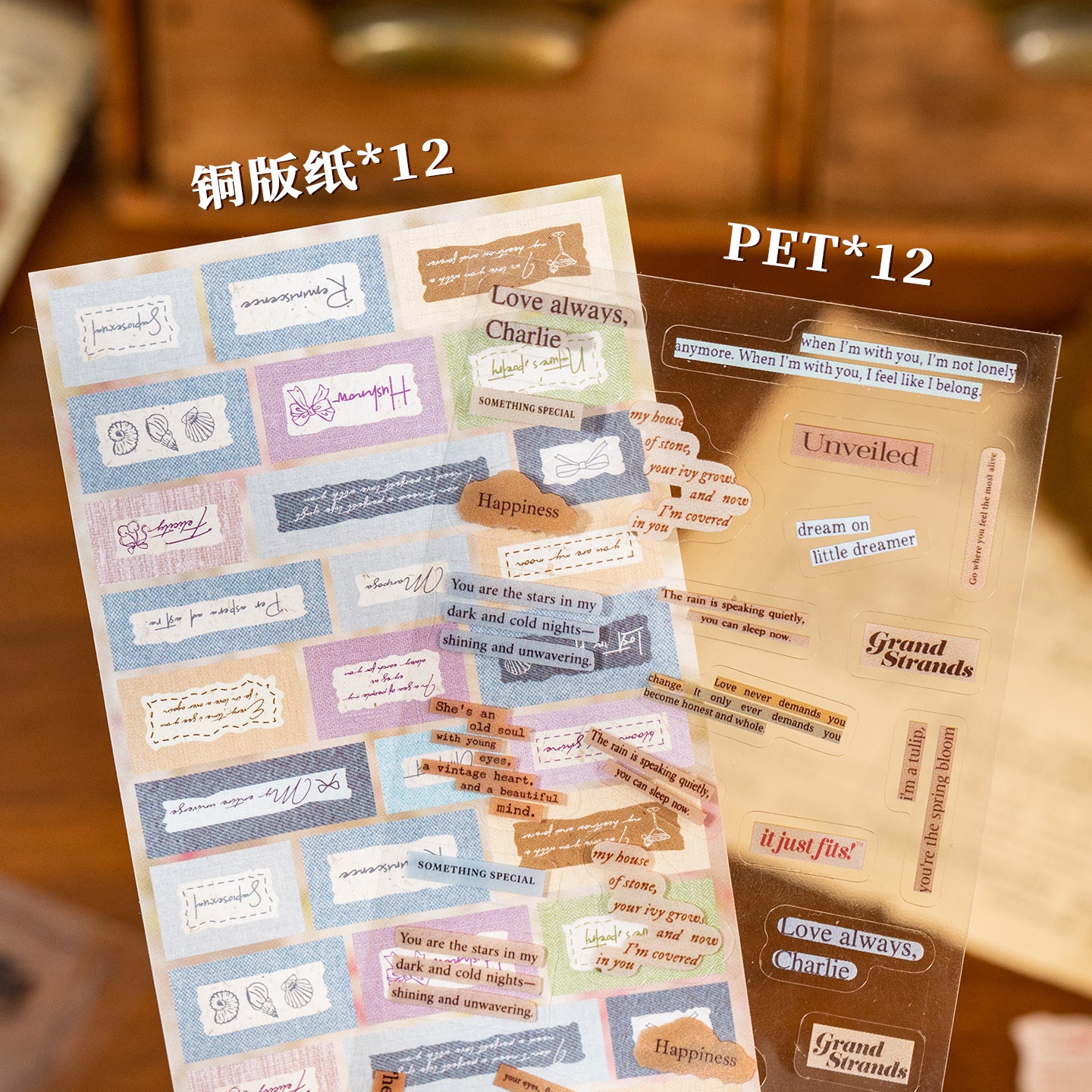 Block de stickers retro librery-24 pzas