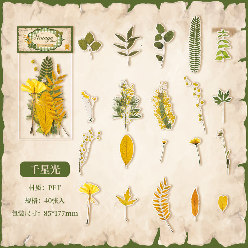 Stickers vintage plant-40 pzas