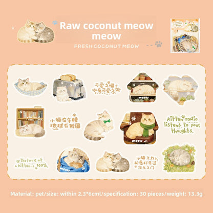 Stickers cat diary-30 pzas