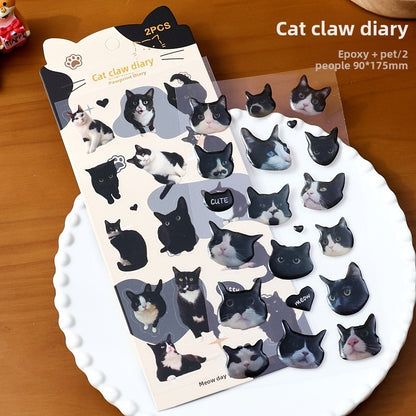 Stickers gatos 3D-2 planchas