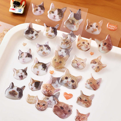 Stickers gatos 3D-2 planchas