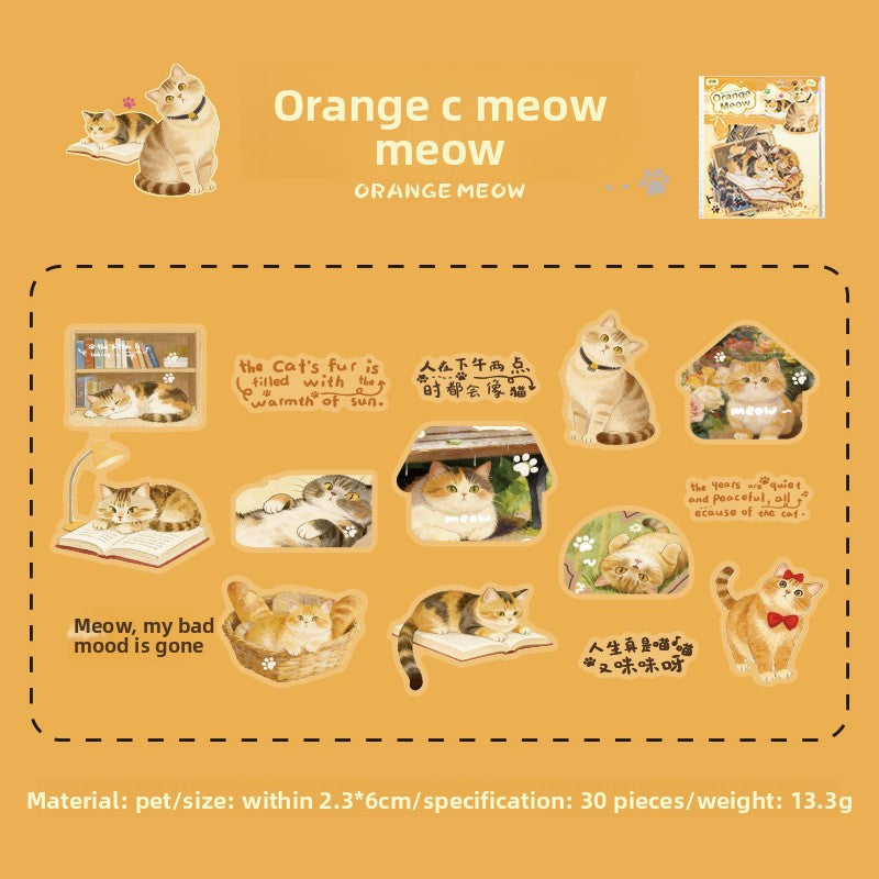 Stickers cat diary-30 pzas