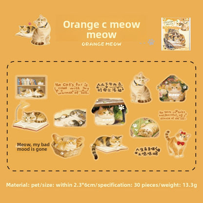 Stickers cat diary-30 pzas