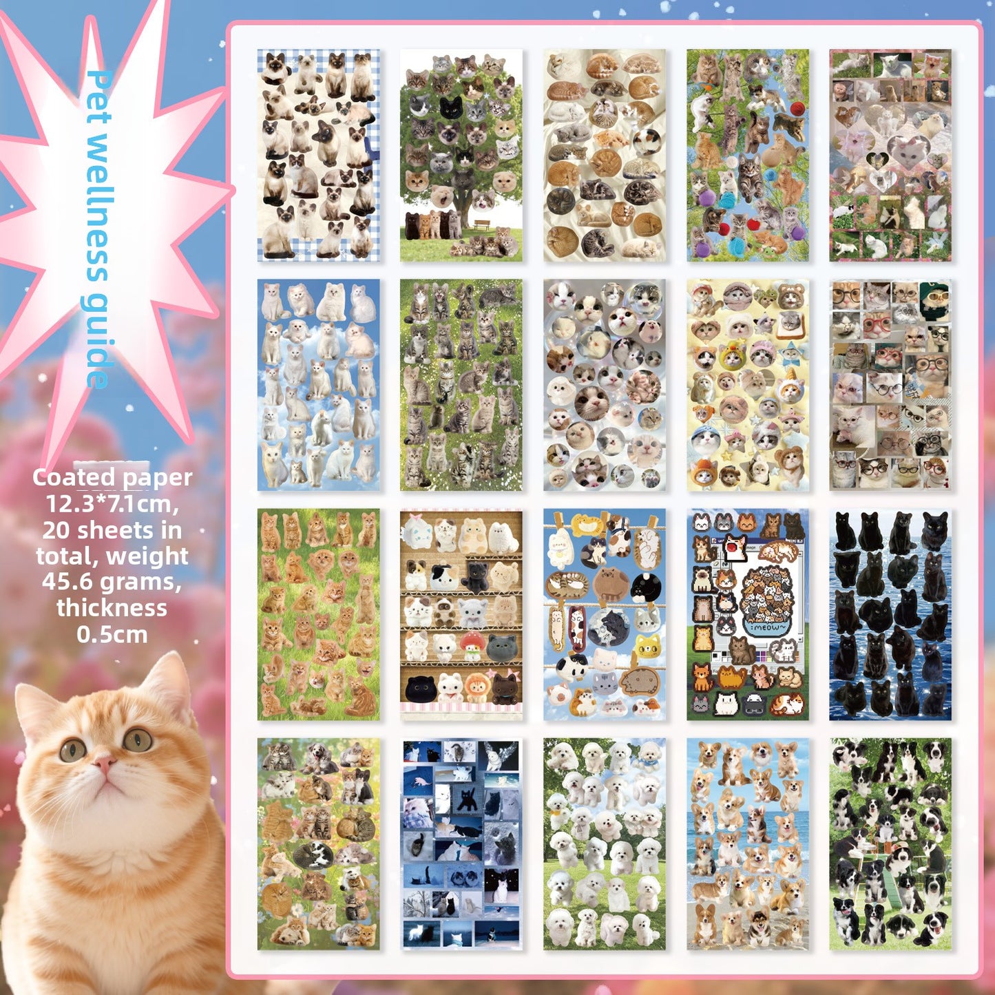 Librito cute pet happy diary-20 hojas