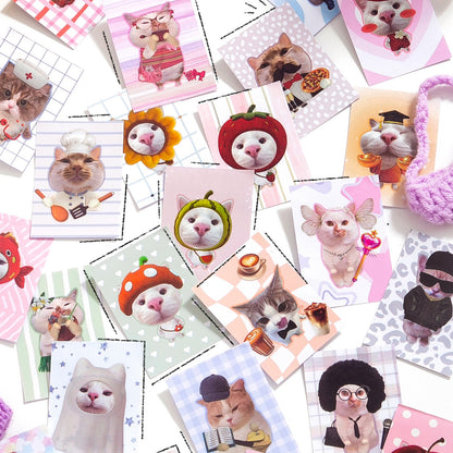 Mini librito cute cat dress up-50 pzas