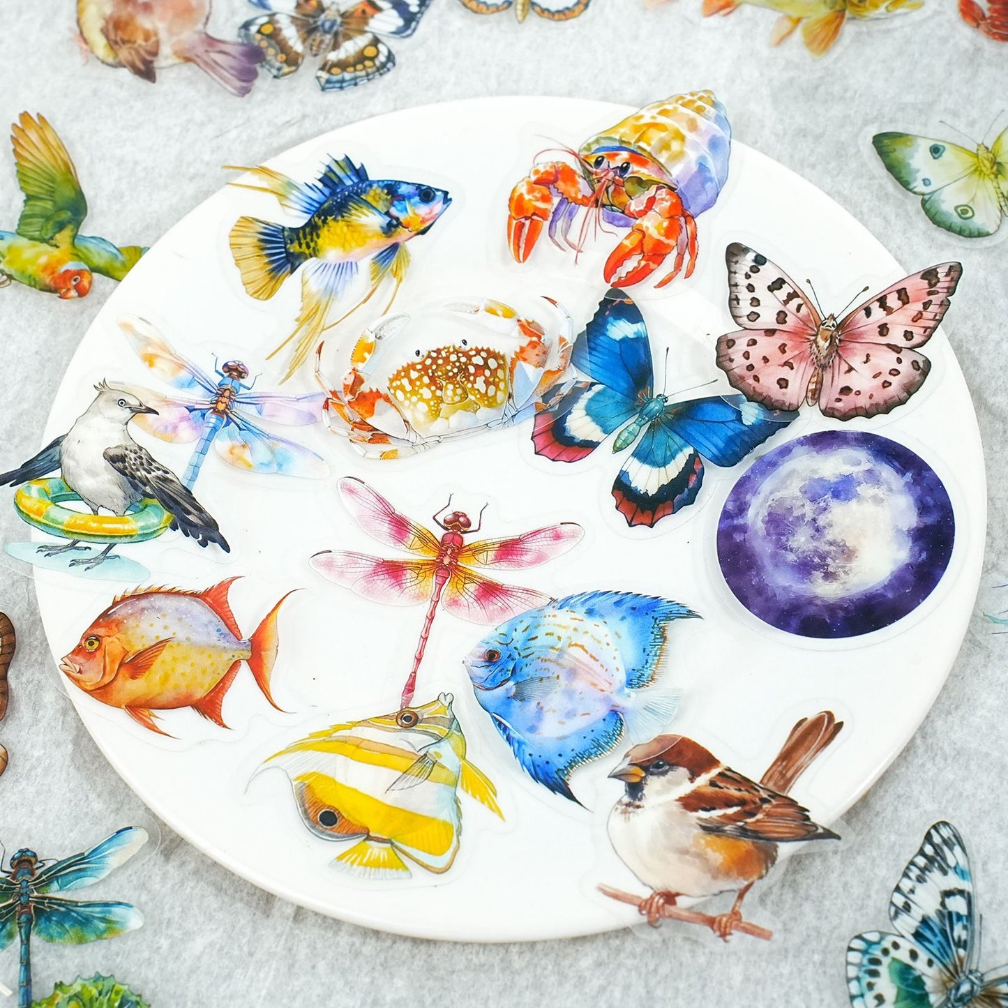 Stickers glittering world-50 pzas