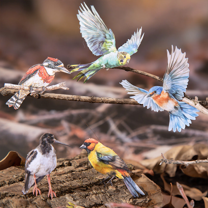 Stickers forest bird-20 pzas