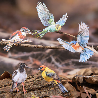 Stickers forest bird-20 pzas