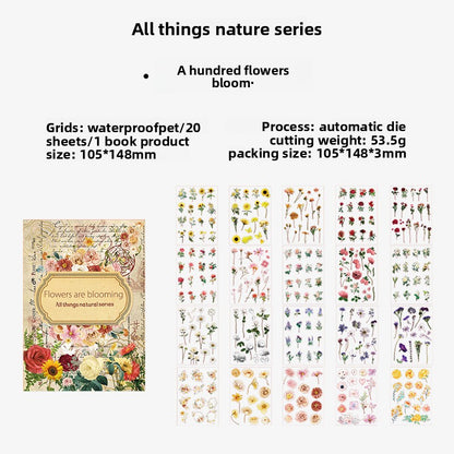 Libro de stickers vintage-20 hojas