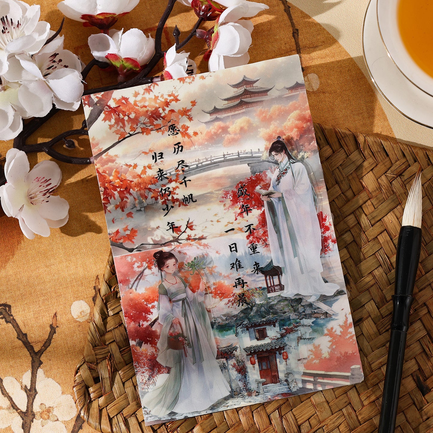 Libro de stickers japonesas-20 hojas