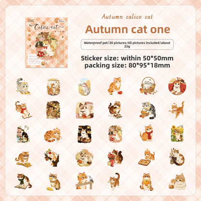 Caja de stickers kitty XL-60 pzas