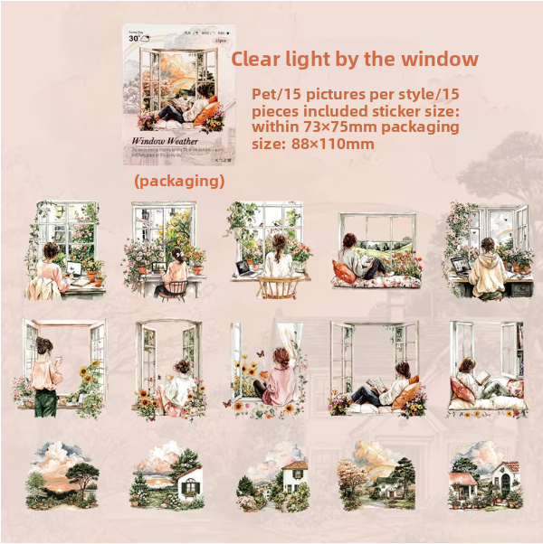 Stickers windows weather-15 pzas