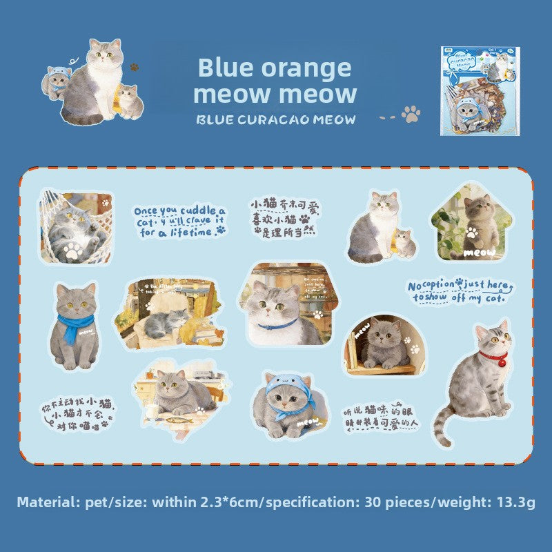 Stickers cat diary-30 pzas