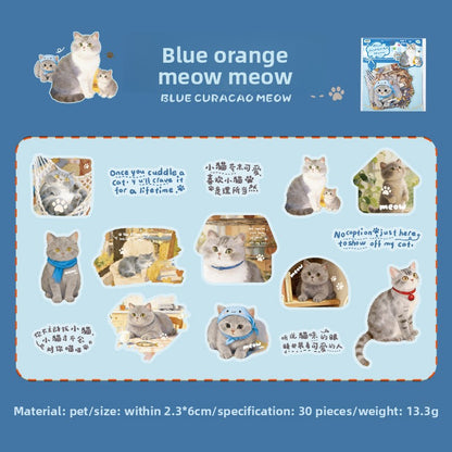 Stickers cat diary-30 pzas